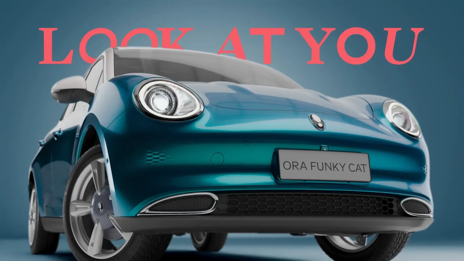 Ora Good Cat – Promo Campaign - 3